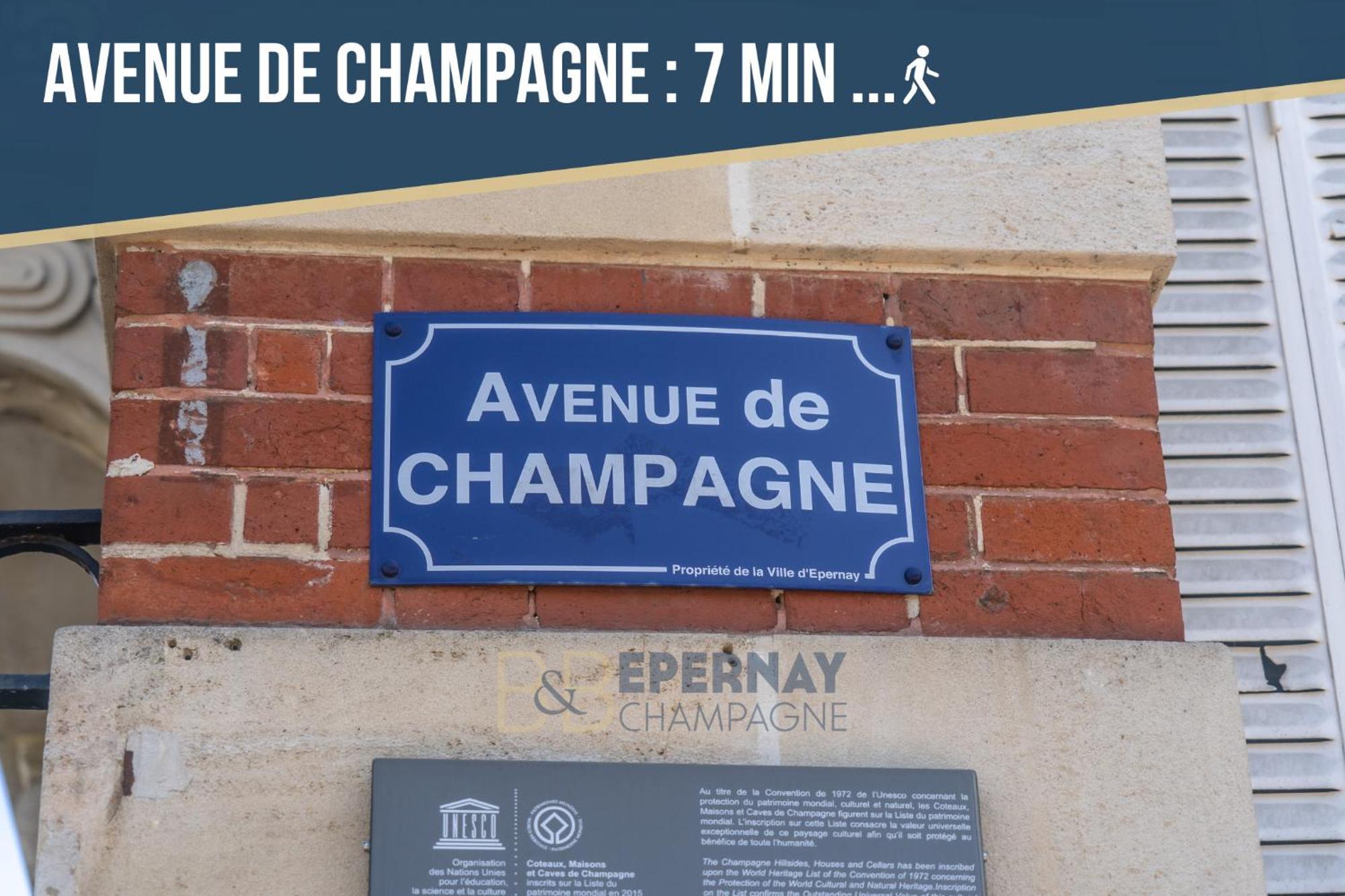 Apartment Jacuzzi Terrasse 86 - Terrasse & Climatisation - 4 Personnes - Epernay